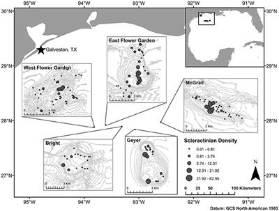 Assessment of Mesophotic Coral Ecosystem Connectivity for Proposed Expansion of a Marine Sanctuary in the Northwest Gulf of Mexico: Larval Dynamics